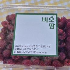 산딸기(라즈베리)